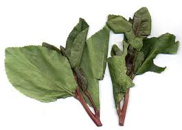 עלי קאת [גת]