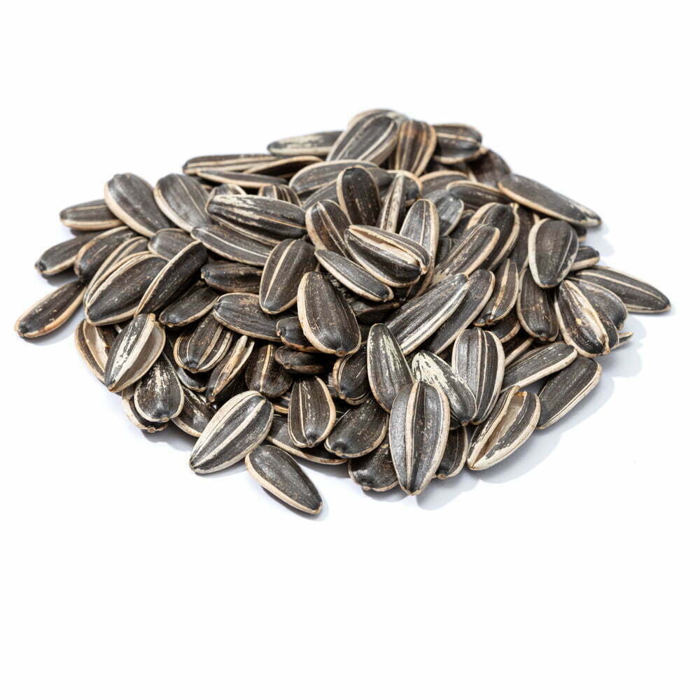 גרעיני חמניה