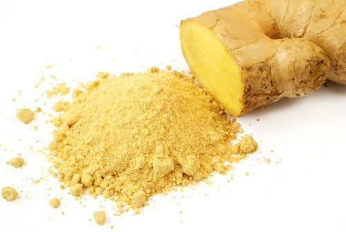 ג'ינג'ר / זנגביל חי